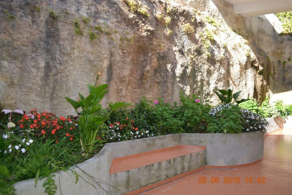 Coral Villa Ericeira Bagian luar foto